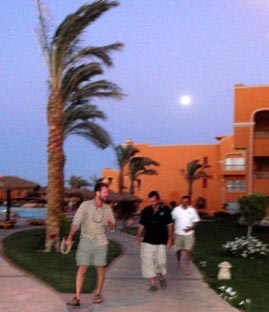 In the complex - check out the palm being blown over