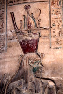 Photograph from the voyage