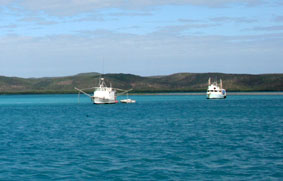 Fishing boats waiting to refuel at Horn Island