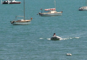 Jean coming back from Hinewai