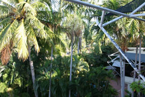 The View from the Flat