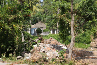 Remains from the Tsumani